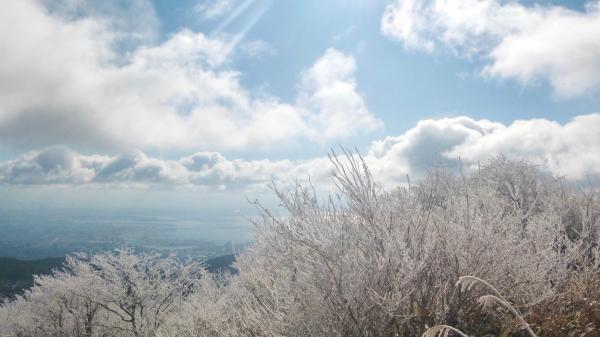 山頂付近は樹氷がきれいでした