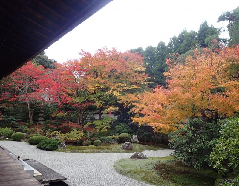 泉涌寺で美しい紅葉にこころうたれ。思わず立ち尽くす・・