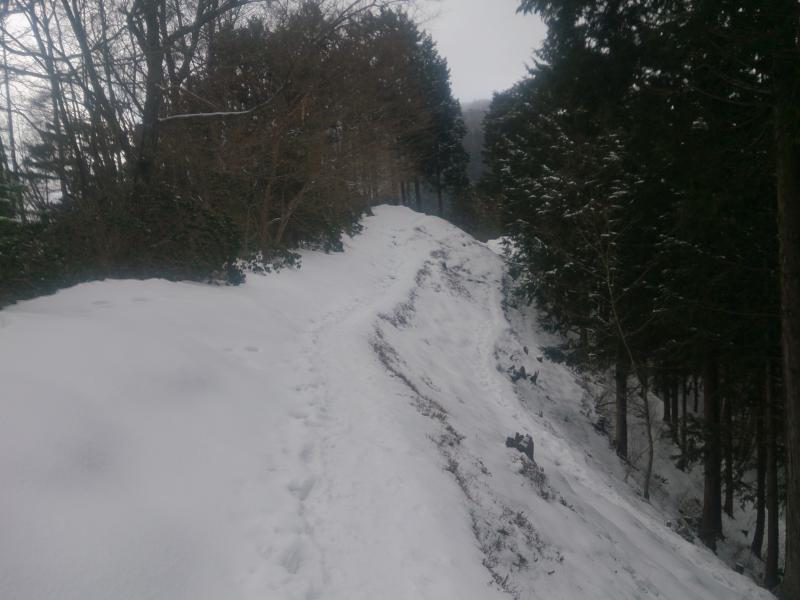 雪のトレースを歩くのは気持ちいいですね