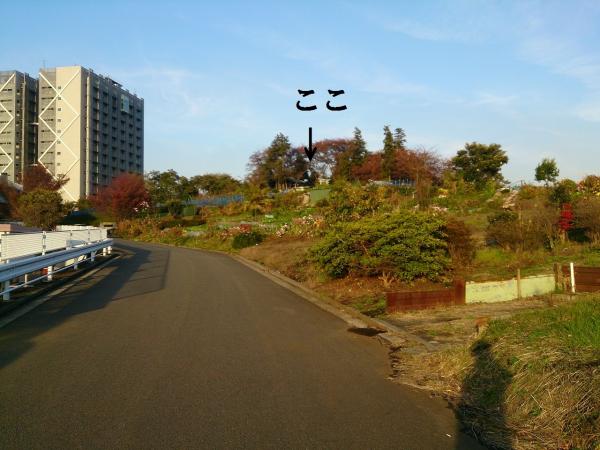 高尾山の全景。畑の中にあります。後ろは東京工業大学の建物（大学の方が高いですが・・・）