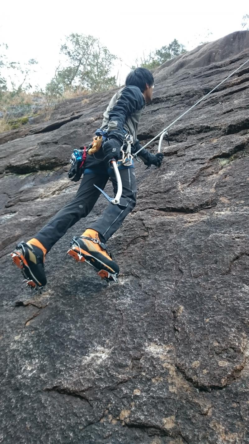 なんてシュールな。。。