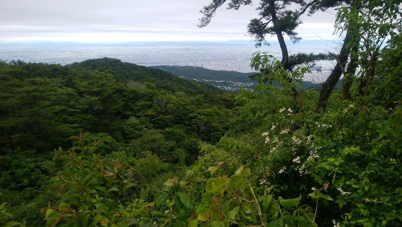 大阪　奈良の山　
