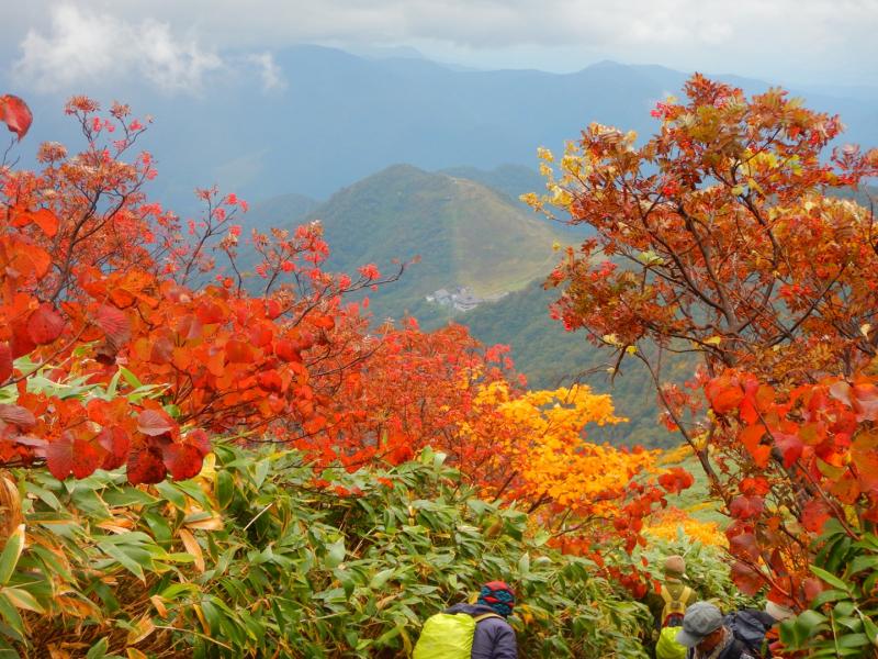 山頂付近の登山道の紅葉！見頃です。