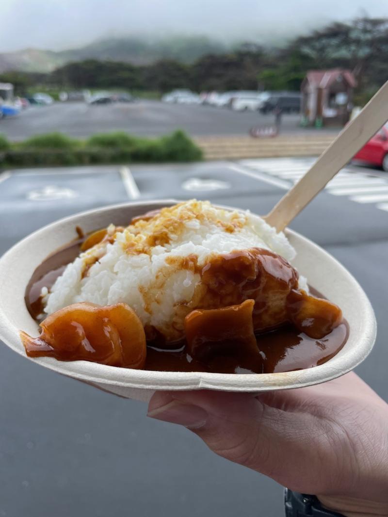 今回は、山頂にたどり着けず、カレーをのんびり楽しむ日になりました！