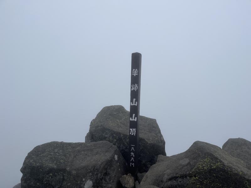 山頂は真っ白でした！！
