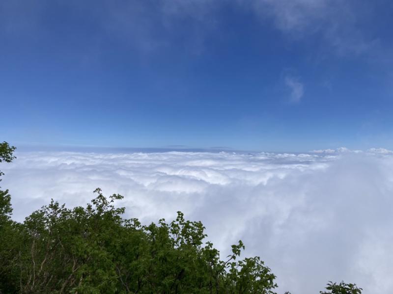 雲海の羊蹄山。まるで飛行機の上からの景色ですね。