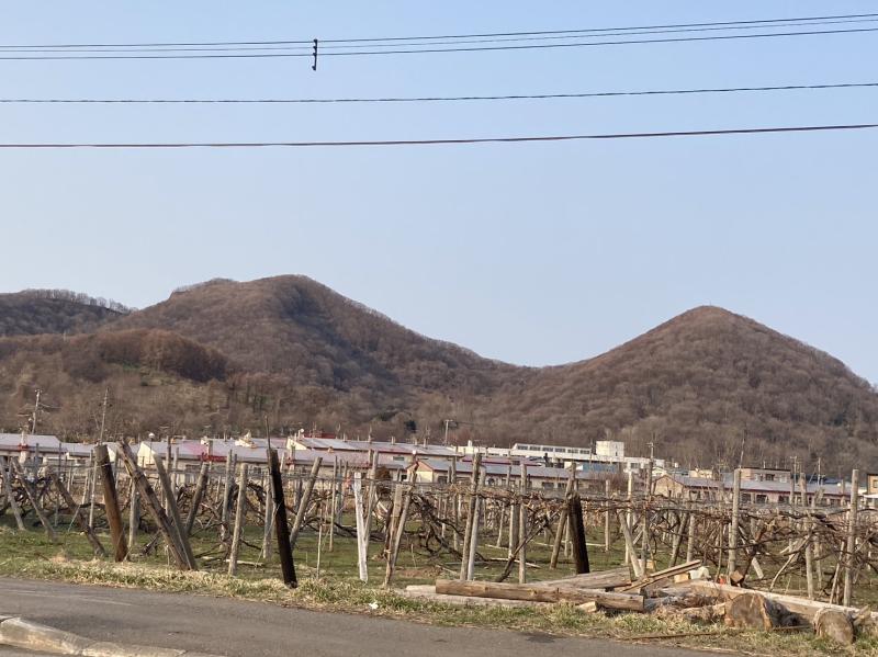 左側が山頂です。