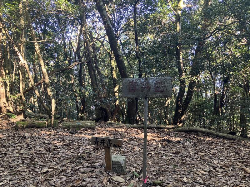 青井岳。あけおめ