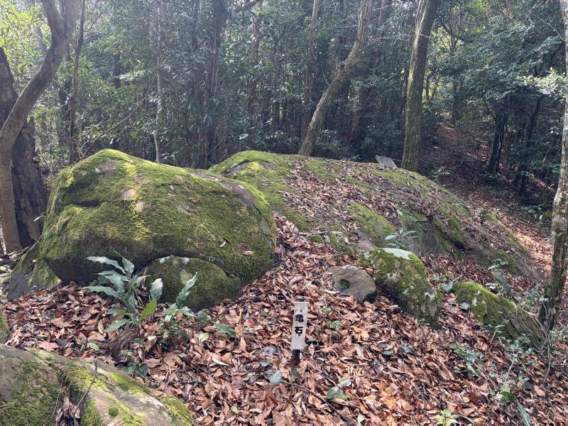 亀石感あります