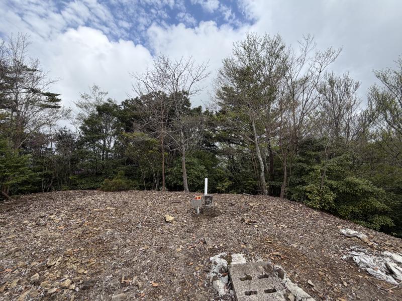 大森岳。思ったより広い