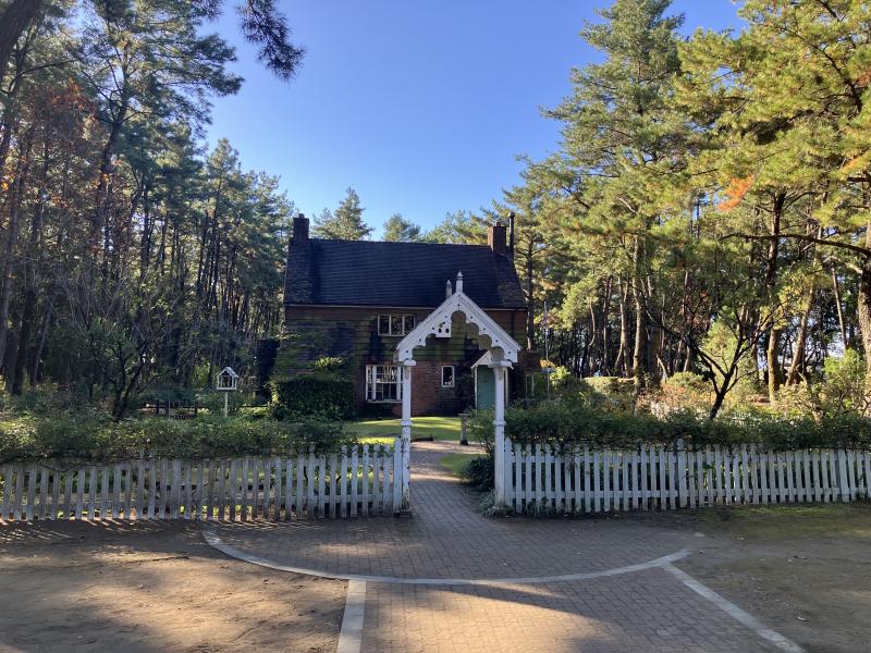 英国式庭園。奇麗に手入れされてました