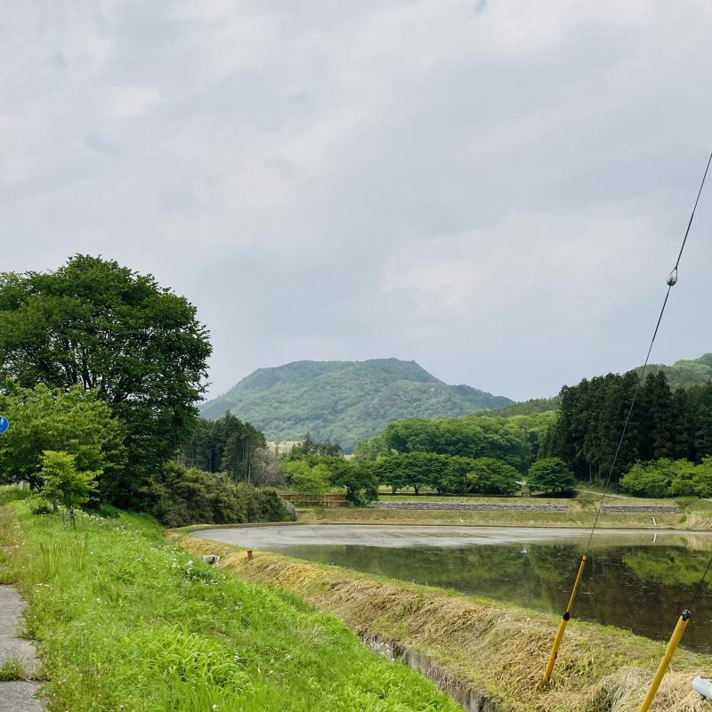 山全体が鞍掛山神社の御神体なんだそうです