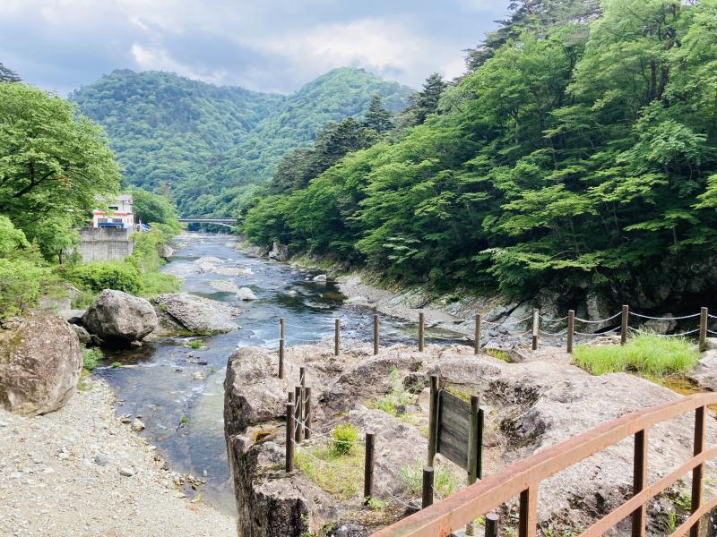 野立岩の上から