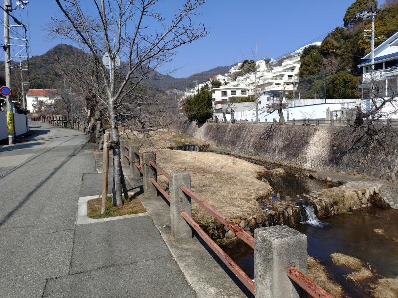 芦屋川を横目に住宅街を歩きます