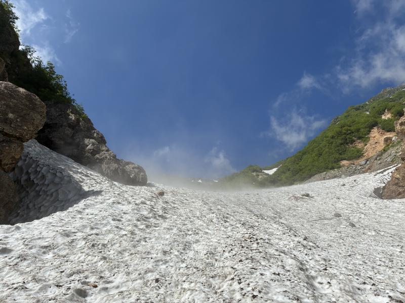 日本三大雪渓「針ノ木大雪渓」と高山植物を楽しめる周回コース