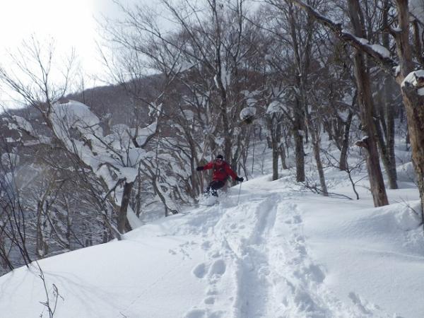 ガンガン突っ込んで行きます