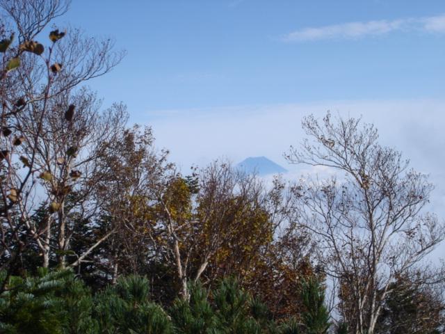 富士山も見えました