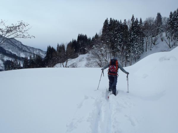 静かな森の中へ出発
