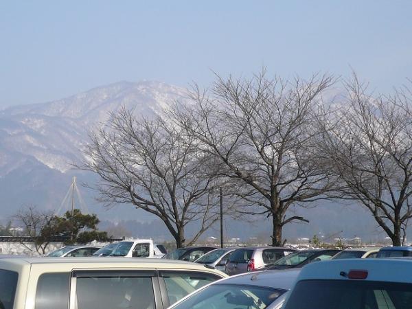 村松の桜の樹越しの大蔵山と菅名岳