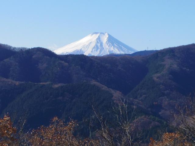 すっかり白くなった富士山♪