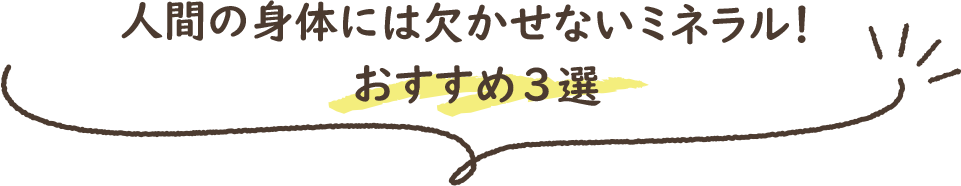 人間の身体には欠かせないミネラル!おすすめ3選