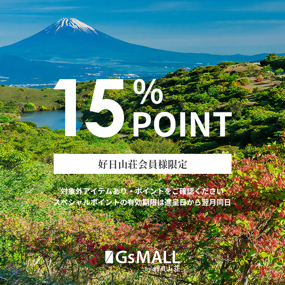 GsMALL ポイント15%