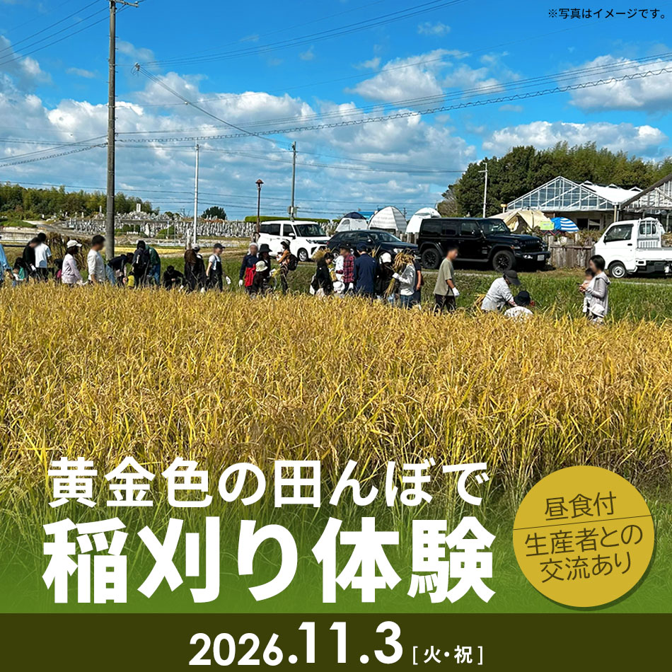 好日山荘がオーナーとなっている兵庫県の田んぼで稲刈り体験イベント