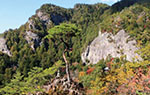 鳳来寺山