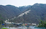 光城山