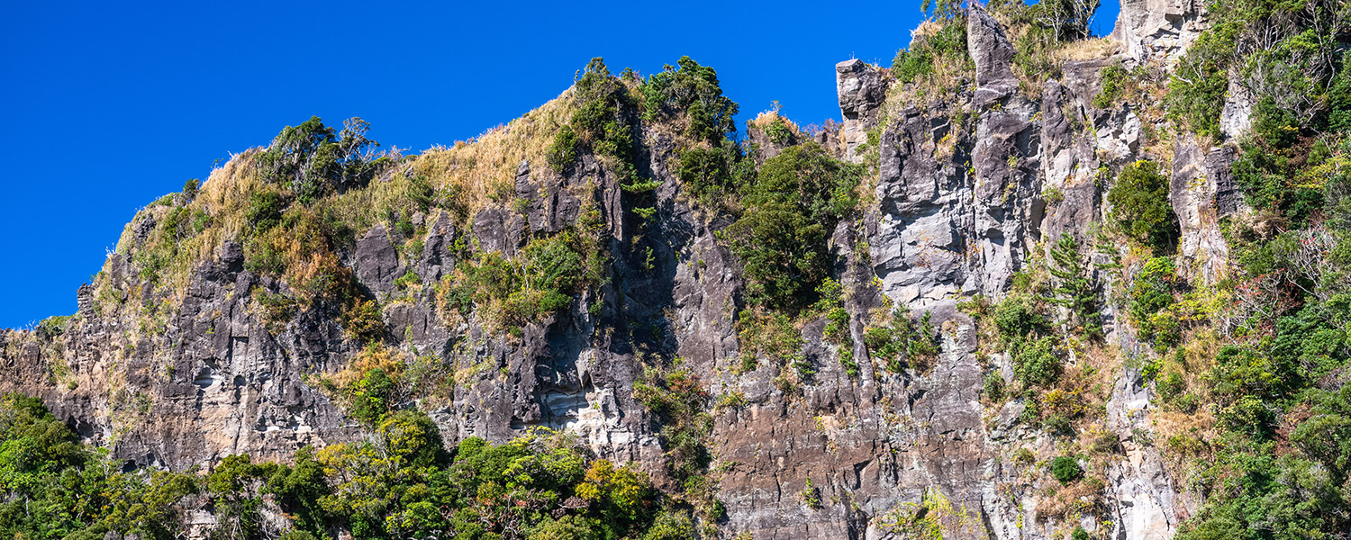 鋸山