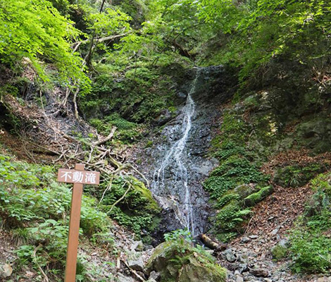 武甲山のおすすめコース画像
