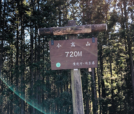 伊豆ヶ岳のおすすめコース画像