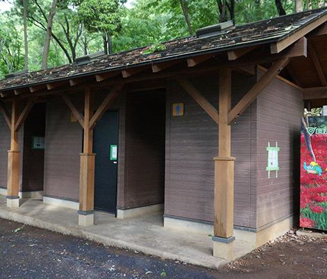 日和田山のおすすめコース画像