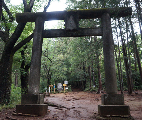 日和田山のおすすめコース画像