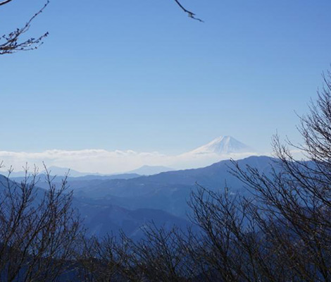 川苔山のおすすめコース画像