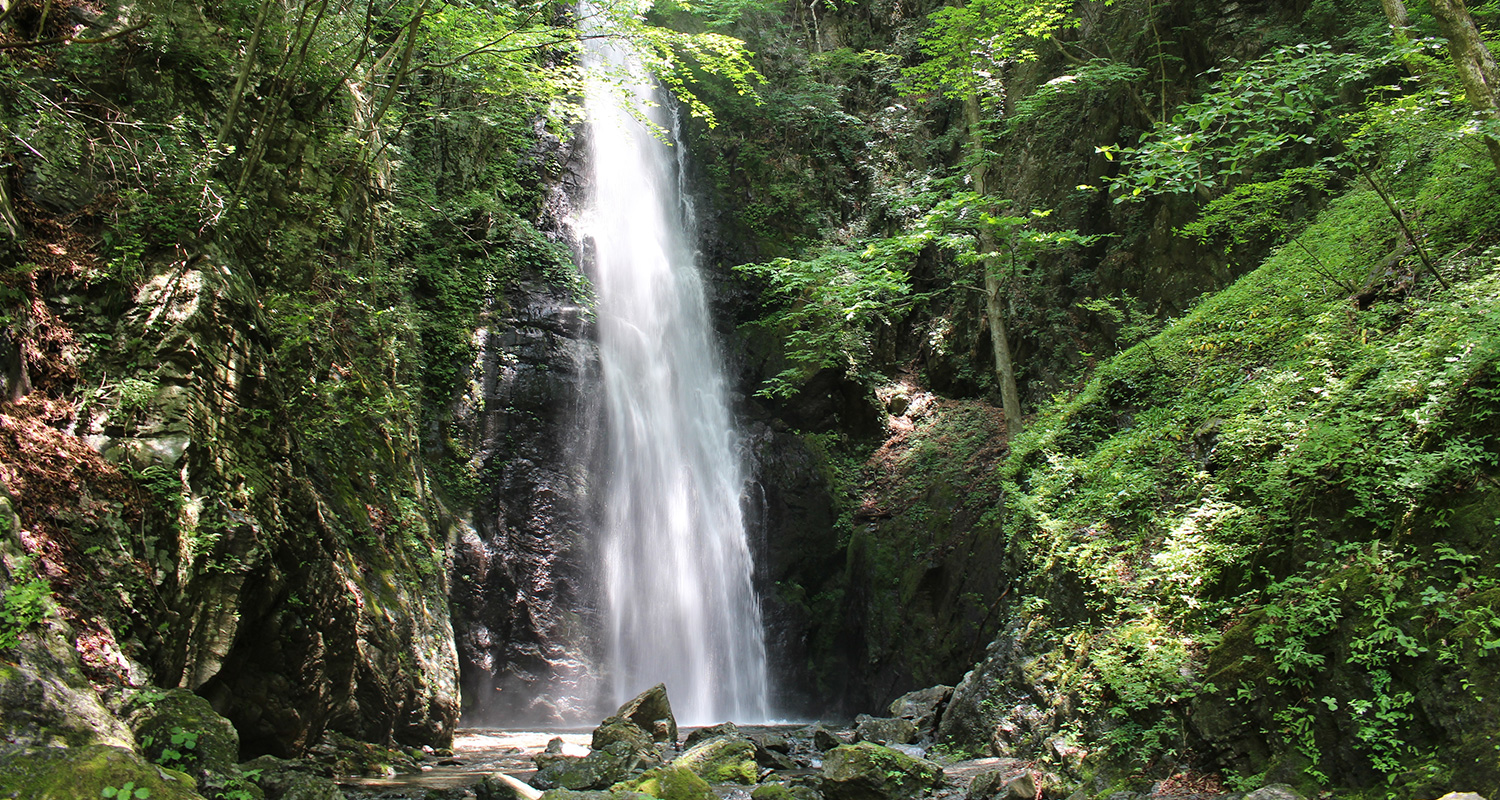 川苔山