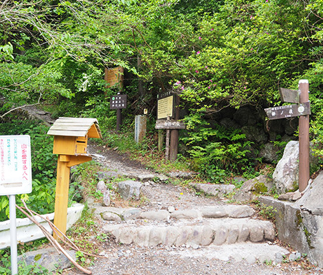 棒ノ折山のおすすめコース画像