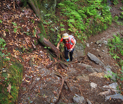 棒ノ折山のおすすめコース画像