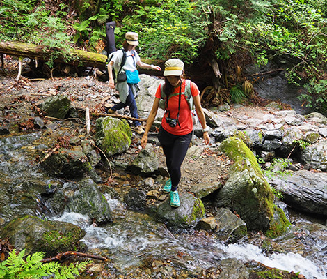 棒ノ折山のおすすめコース画像