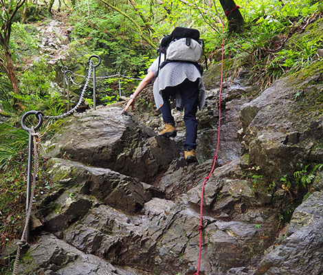 棒ノ折山のおすすめコース画像