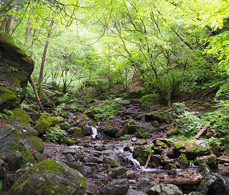 棒ノ折山のおすすめコース画像