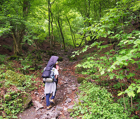 棒ノ折山のおすすめコース画像