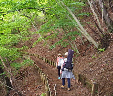 棒ノ折山のおすすめコース画像