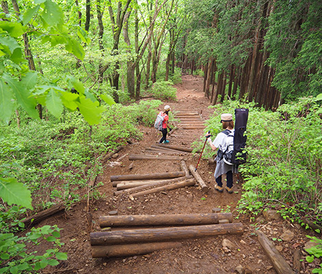 棒ノ折山のおすすめコース画像