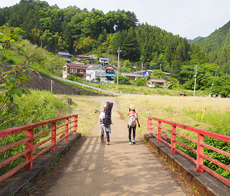 棒ノ折山のおすすめコース画像