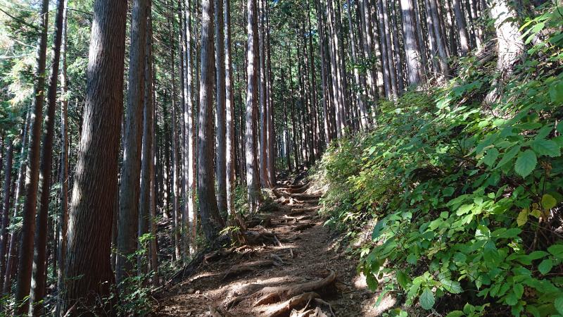 高水三山のおすすめコース画像