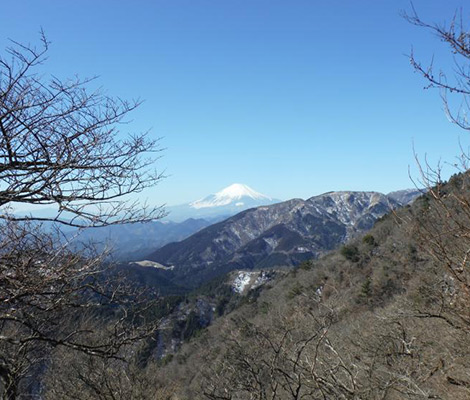 丹沢 大山のおすすめコース画像