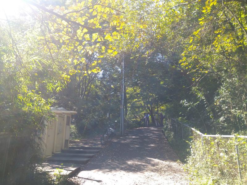大楠山のおすすめコース画像