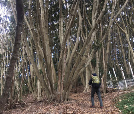 三浦富士のおすすめコース画像