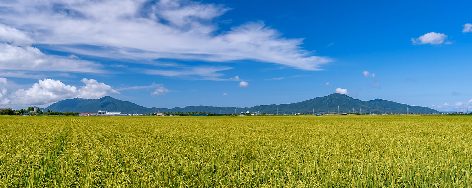 角田山
